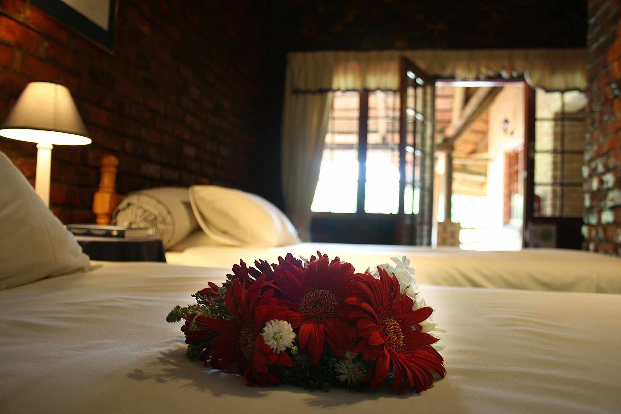 סטורמסריבייר Storms River Guest Lodge מראה חיצוני תמונה